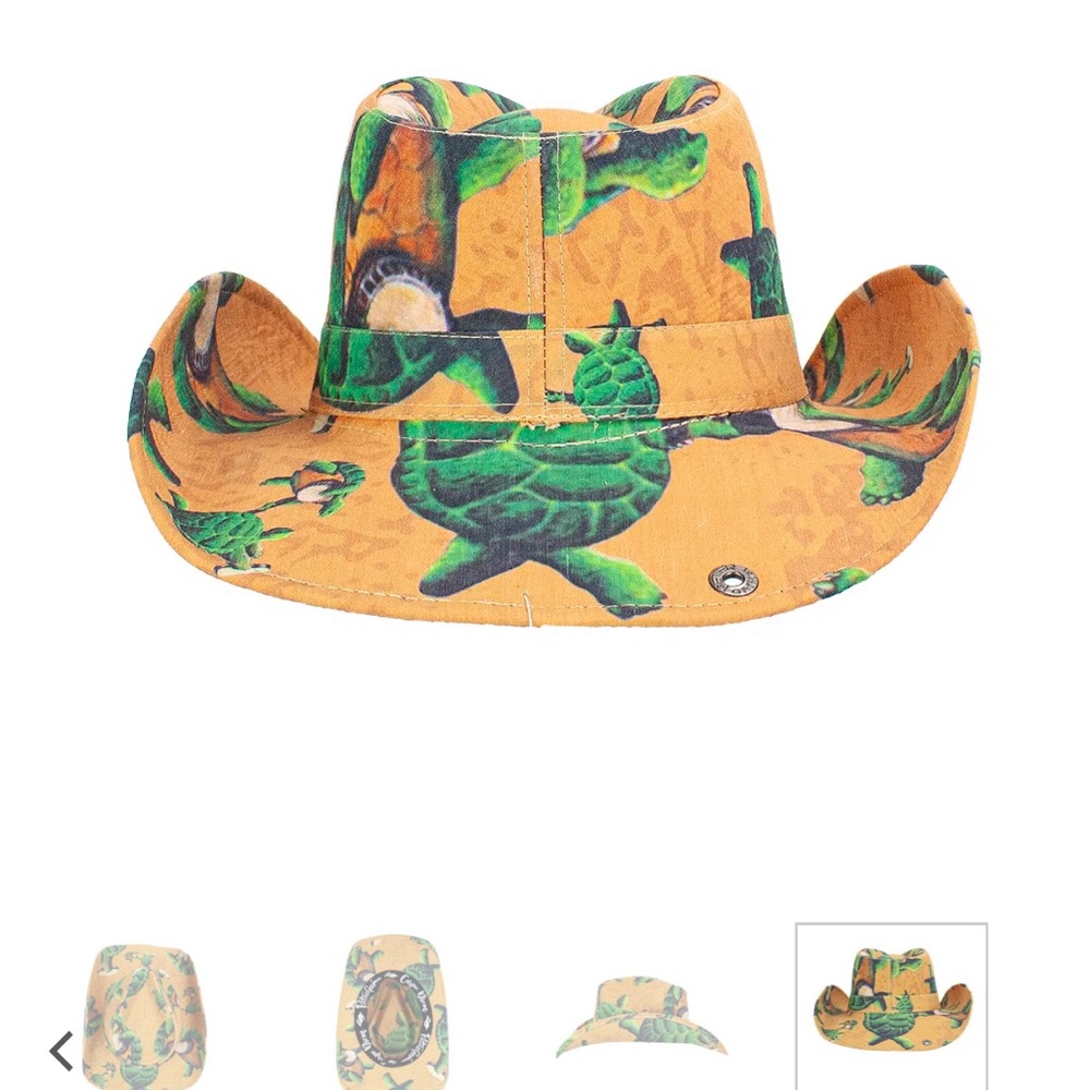 PETER Grimm Dancing turtles drifter *Grateful dead collection